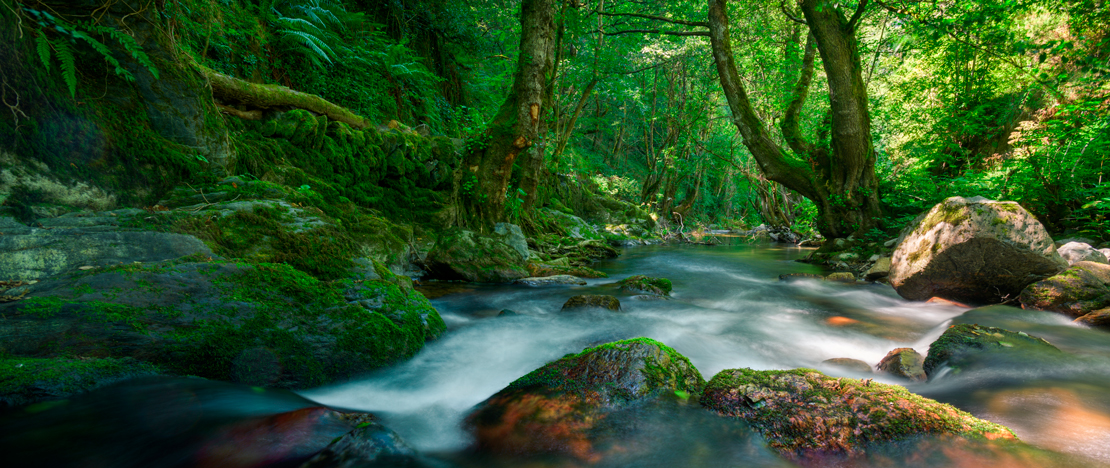 Detalle de río en la sierra de O Courel en Lugo, Galicia