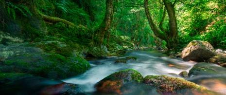 Flusslauf in der Bergkette O Courel in Lugo, Galicien