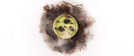 »Dose Plankton« im Restaurant Aponiente