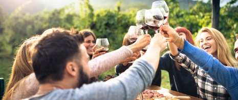 Toast entre amis avec un verre de vin