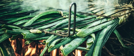 Calçots