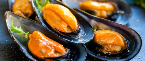 Mussels