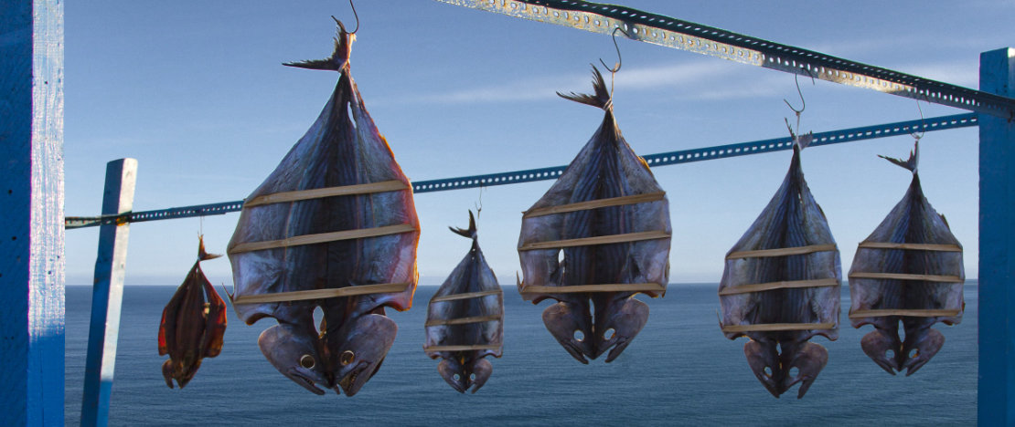 Details of bonito and flying fish drying in the sun in Ceuta