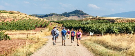 Peregrinos durante o Caminho de Santiago em sua passagem por La Rioja