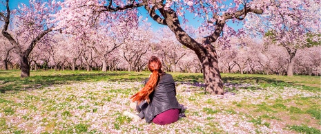 Woman looking at the almond trees in Quinta de Los Molinos park, Madrid