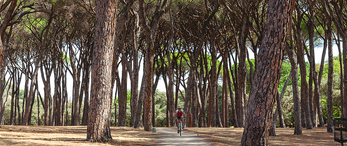 Ciclista em uma trilha na Casa de Campo de Madri Ciclista em uma trilha na Casa de Campo de Madri