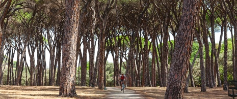 Rowerzysta na ścieżce w parku Casa de Campo w Madrycie