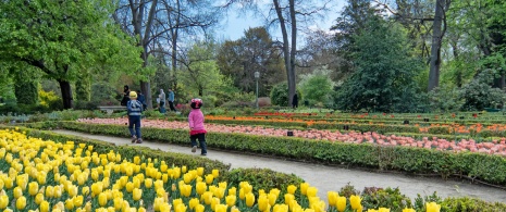 Touristes visitant la collection de tulipes du Jardin botanique royal de Madrid