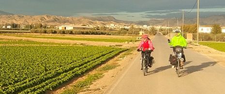 Зеленый путь Кампо-де-Картахена в регионе Мурсия