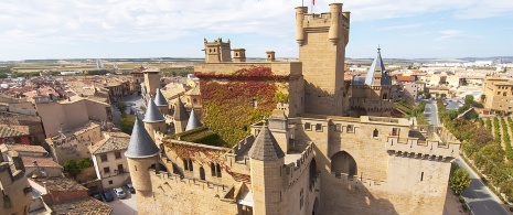 Burg von Olite, Navarra