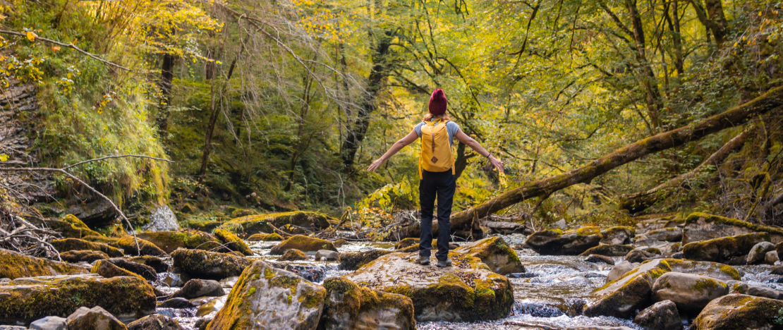 Tourist betrachtet die Selva de Irati, Navarra Tourist betrachtet die Selva de Irati, Navarra