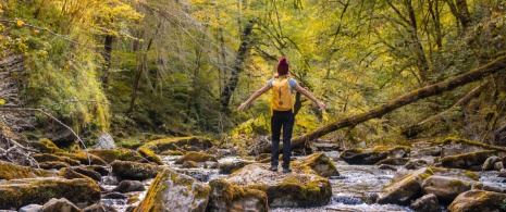 Turista contemplando a Floresta de Irati, em Navarra