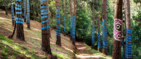 El Bosque Pintado de Oma, Bizkaia