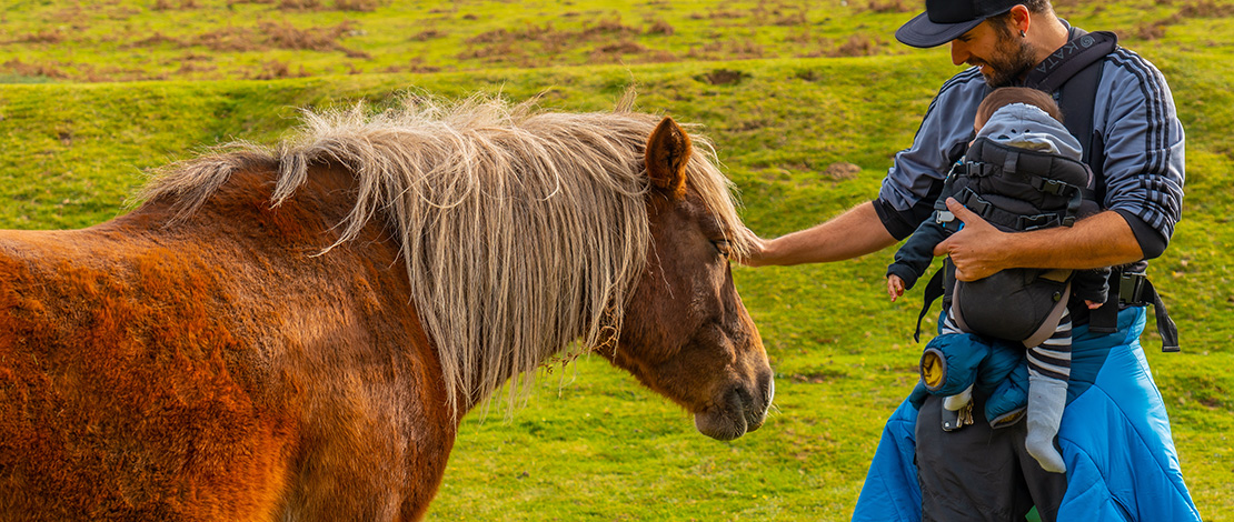 Pai e bebê acariciando um cavalo, País Basco Pai e bebê acariciando um cavalo, País Basco