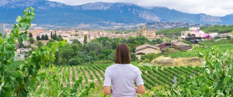 Turista contemplando los viñedos y pueblo de Elciego en Pais Vasco