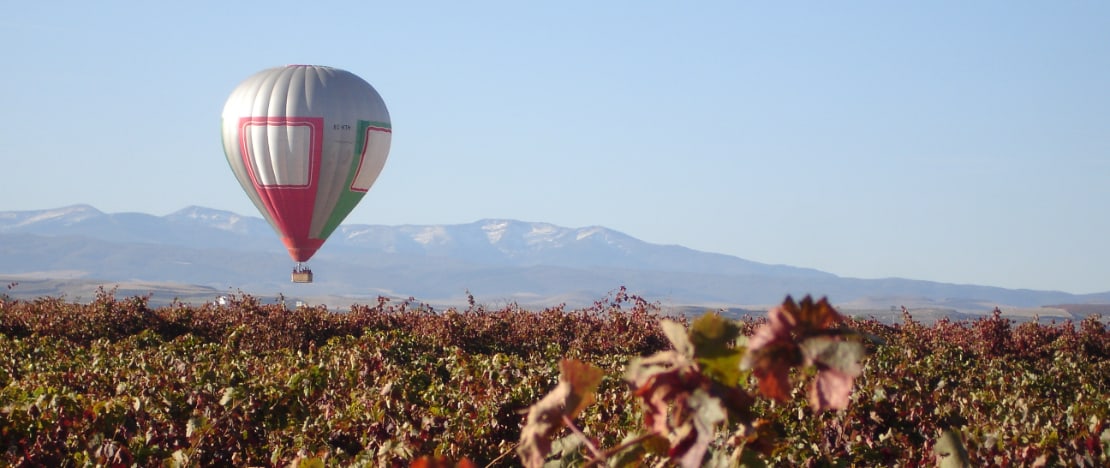 Ballonfahrt über die Weinberge von La Rioja