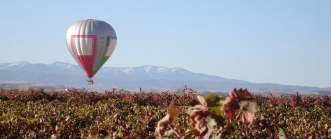 Balloon flying over the vineyards of La Rioja