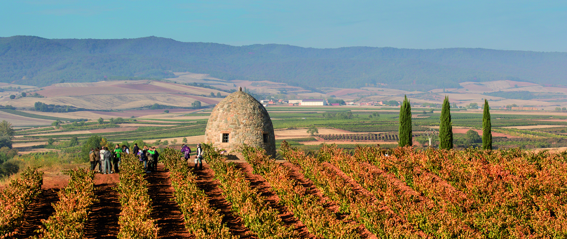 Weintouristische Besichtigung einer Weinberghütte in Badarán, La Rioja Weintouristische Besichtigung einer Weinberghütte in Badarán, La Rioja