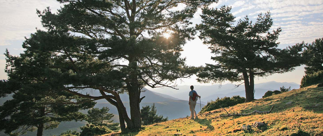 Osoba zwiedzająca Sierra Cebollera, La Rioja Osoba zwiedzająca Sierra Cebollera, La Rioja