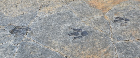 Detalle de los  yacimientos de icnitas en Munilla, La Rioja