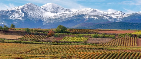 Views of the Sierra de la Demanda with Monte San Lorenzo in the background, La Rioja