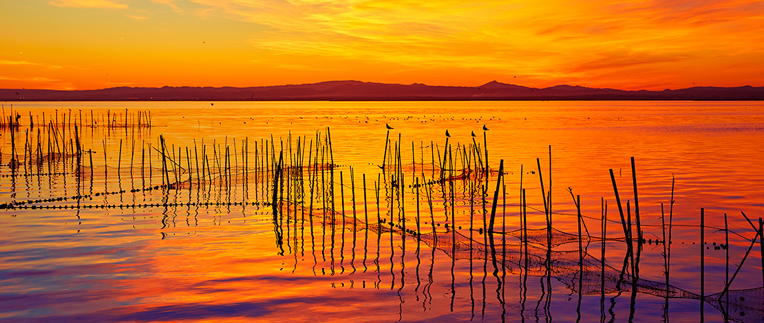 Coucher de soleil dans le parc naturel de l'Albufera de Valence Coucher de soleil dans le parc naturel de l'Albufera de Valence