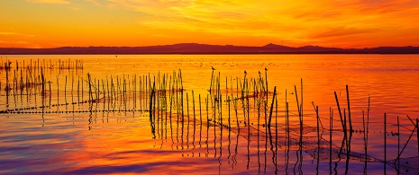 Atemberaubender Sonnenuntergang im spanischen Naturpark L'Albufera de València