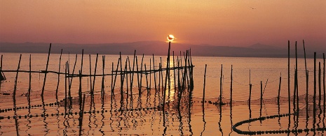 La Albufera, Comunità Valenciana