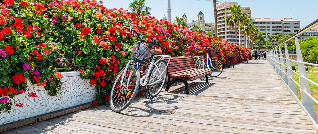 バレンシア州バレンシア市にあるトゥリア庭園の橋の上を走る自転車 バレンシア州バレンシア市にあるトゥリア庭園の橋の上を走る自転車