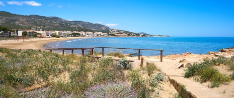 Vista de la Playa de las Fuentes en Alcalà-Alcossebre, Comunidad Valenciana