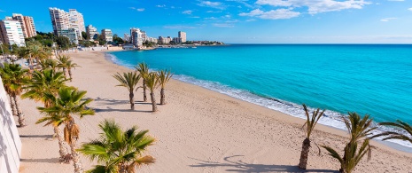 Strand von San Juan, Alicante