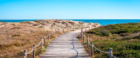 Vistas de la playa El Saler, Valencia