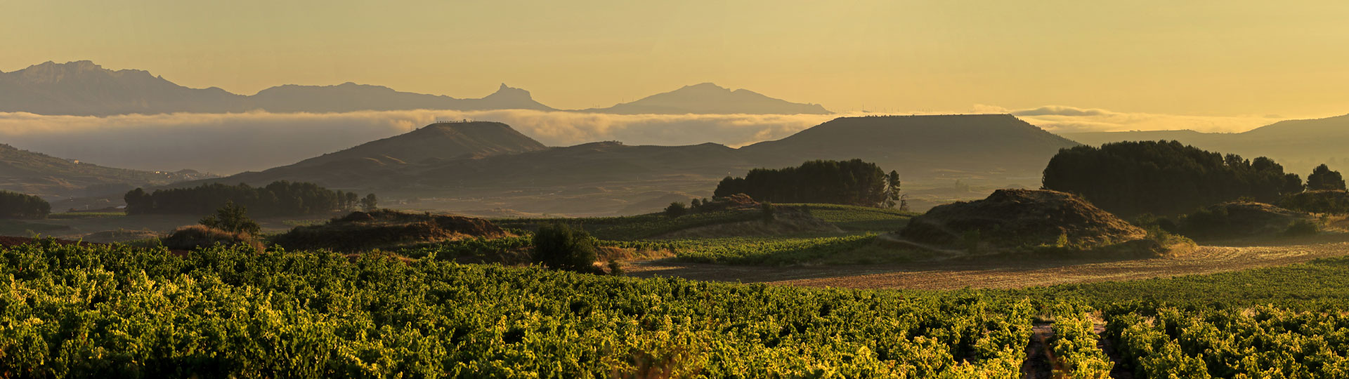Krajobraz regionu La Rioja