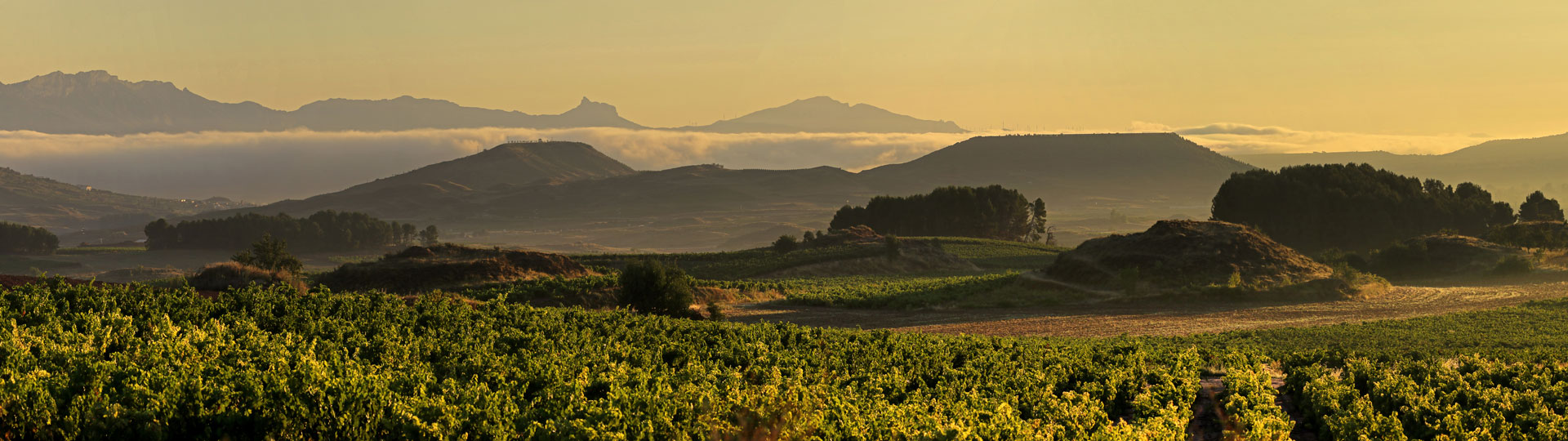 Landschaft in La Rioja