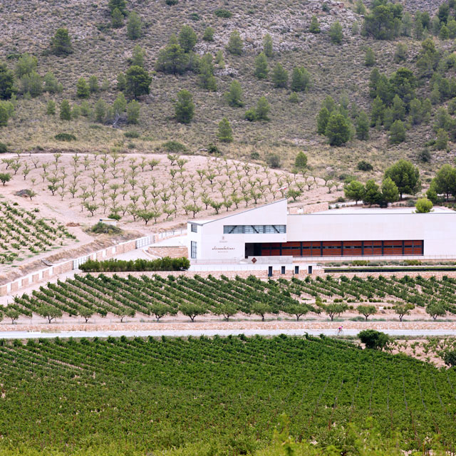 Винодельческое хозяйство Sierra Salinas