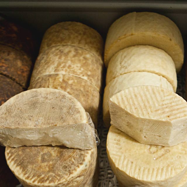 Variedade de queijos canários
