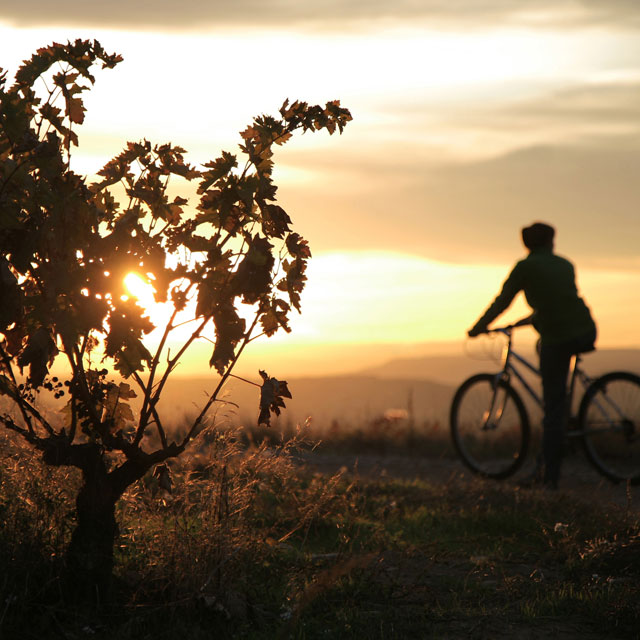 By bike