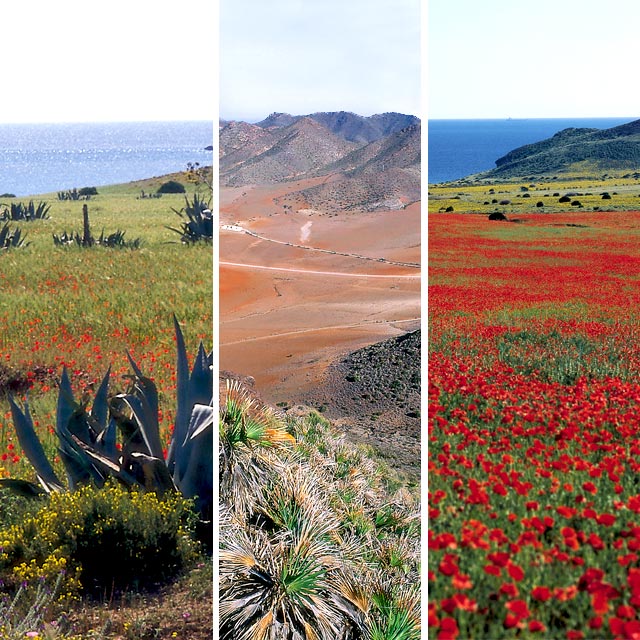Krajobrazy Cabo de Gata, Almería
