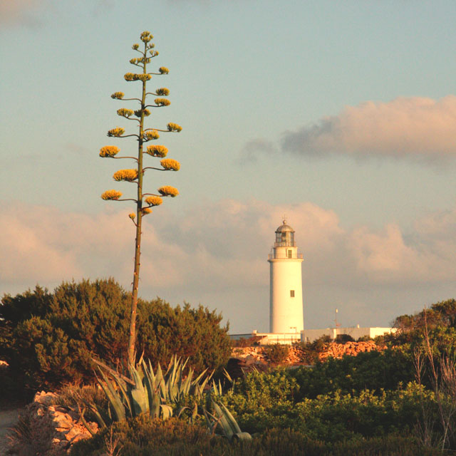 La Mola lighthouse