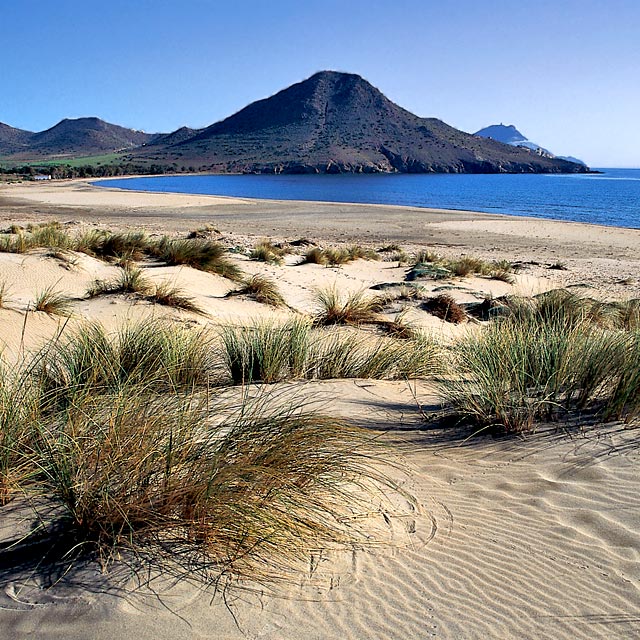 Genoveses beach, Almería