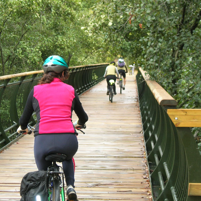 Cyclists on a greenway