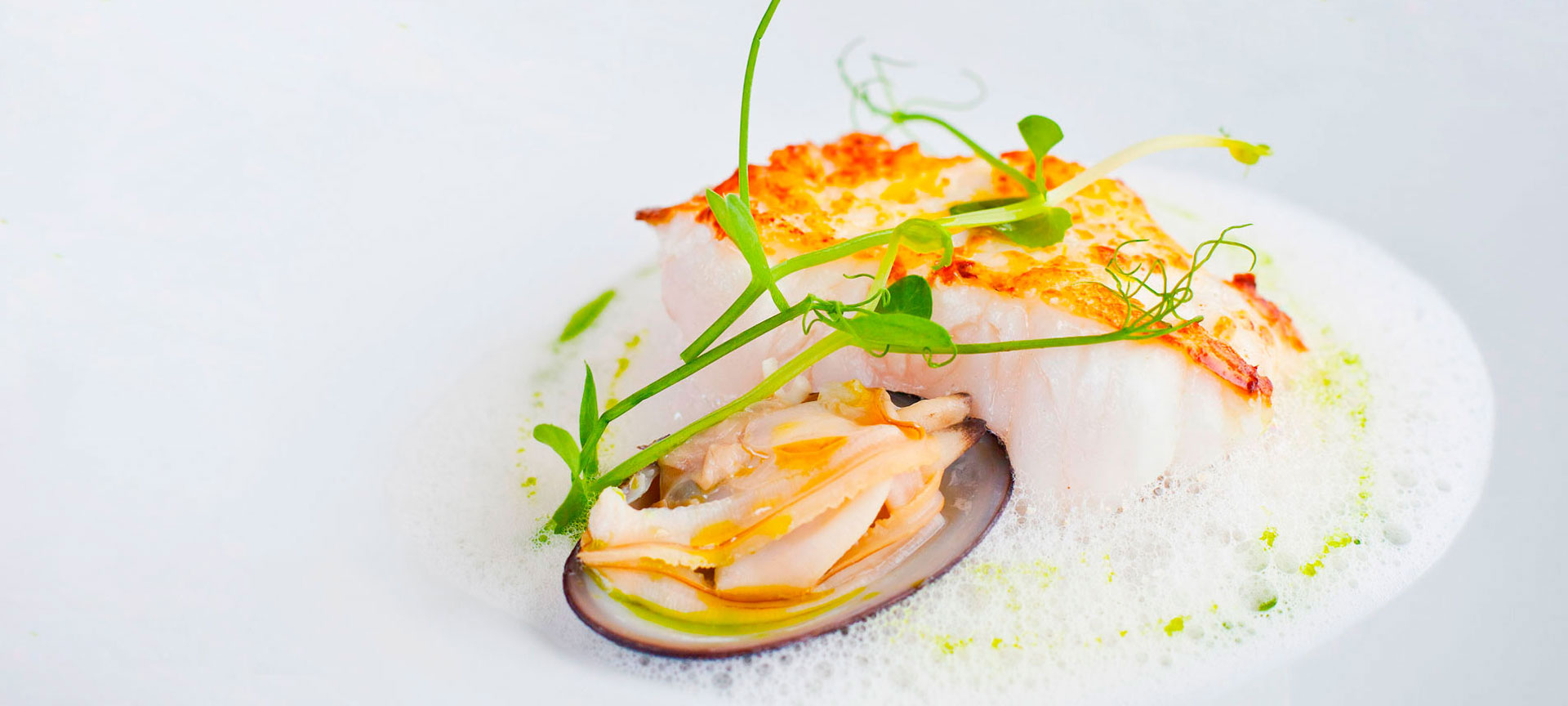 Designer dish: white fish and shellfish Designer dish: white fish and shellfish
