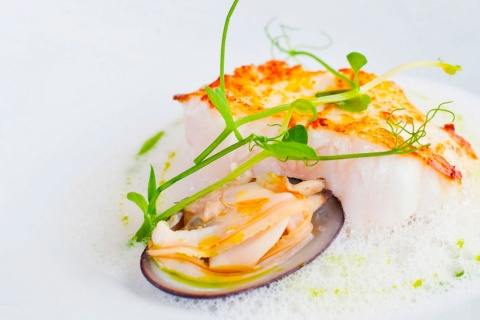 Designer dish: white fish and shellfish