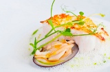 Designer dish: white fish and shellfish