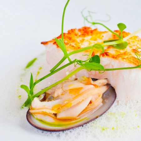 Designer dish: white fish and shellfish