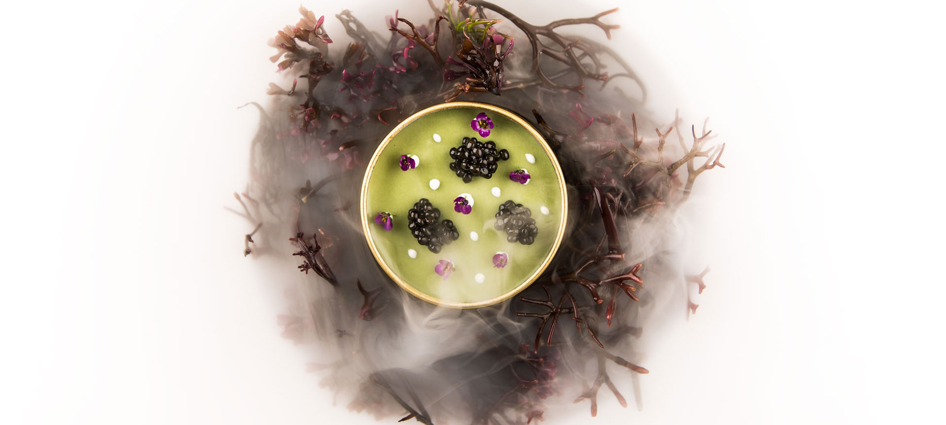 „Lata de Plancton“ (Plankton-Dose) im Restaurant Aponiente „Lata de Plancton“ (Plankton-Dose) im Restaurant Aponiente