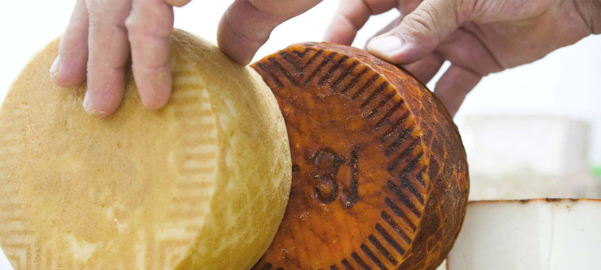 Cheeses of the Canary Islands Cheeses of the Canary Islands