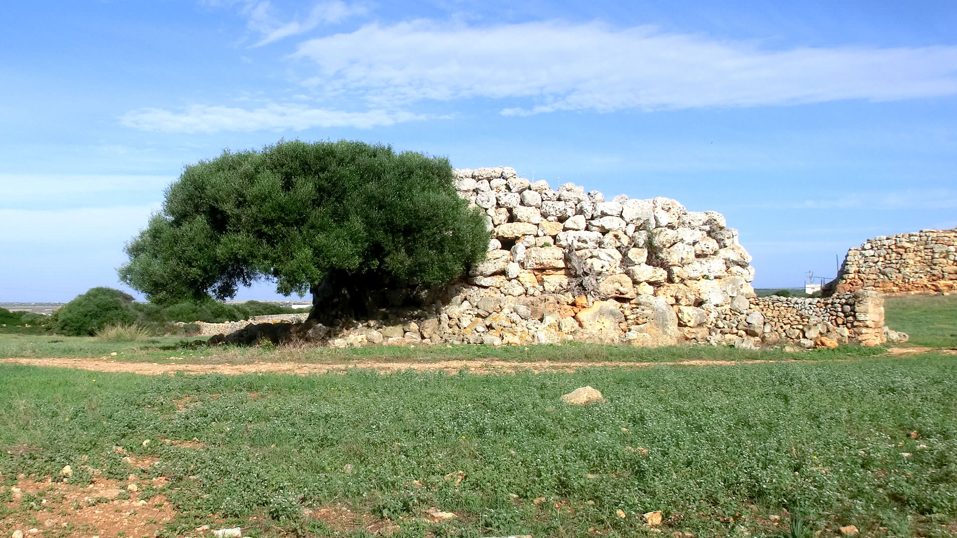 Trois « talayots » du site tayalotique de Montefí, Ciudadela, Minorque