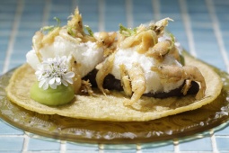 Plat du restaurant Hoja Santa