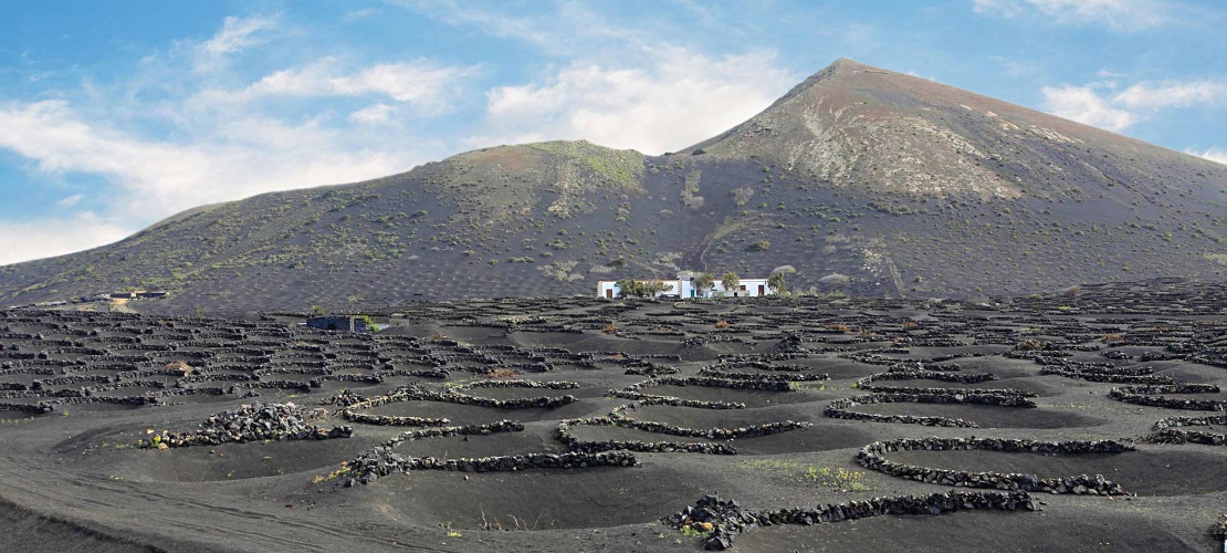 ランサロテ島ラ・ヘリアのクレーターから姿を現すブドウ畑